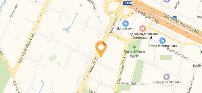 Seyidoğlu Ala, Beylikdüzü