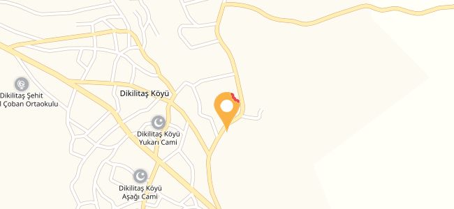 Boran Yemekçilik, Dikilitaş Köyü