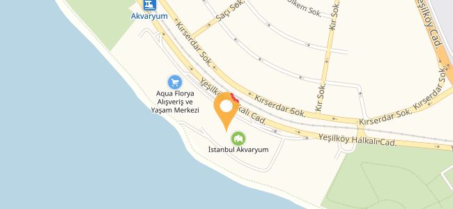 Balıkev, Şenlikköy