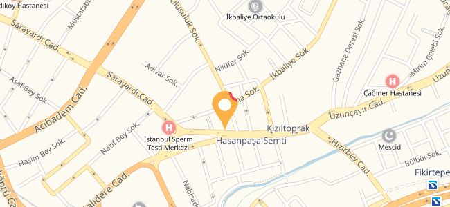 Fesleğen Lokantası, Hasanpaşa