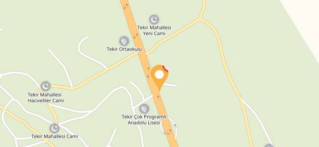 Taş Fırın Pide Ve Lahmacun, Tekir