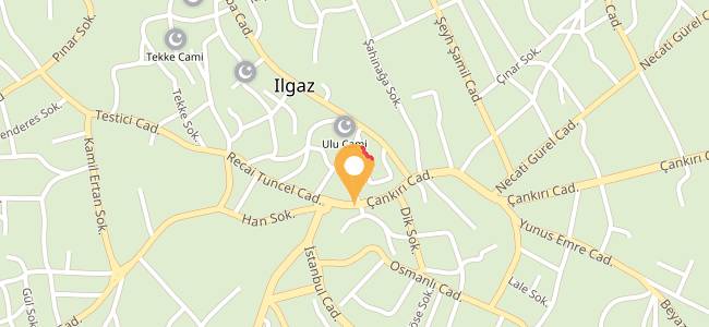 Ilgaz Pide Kebap Salonu, Yeni