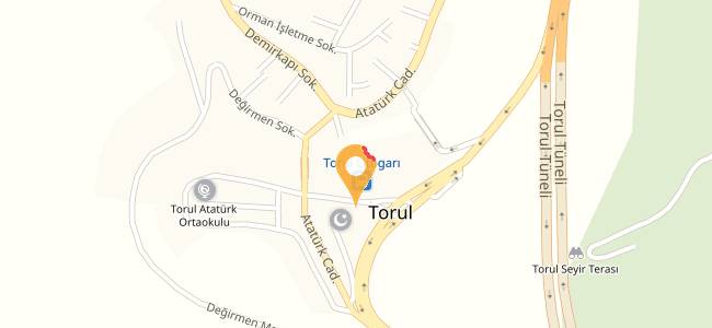 Aydınlar Lokantası, Torul Merkez