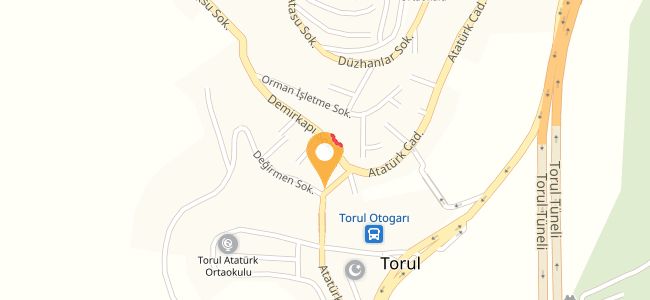Bizim Lokanta, Torul Merkez