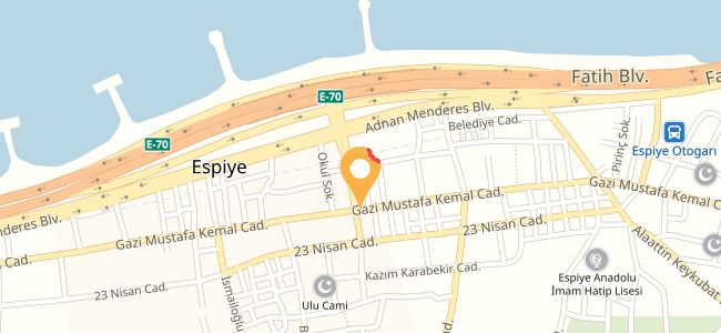 Ensar Lokantası, Espiye Merkez