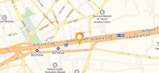 İstasyon Bornova, Kazım Dirik