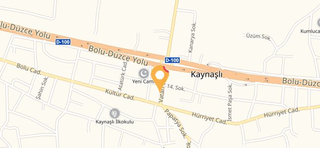 Yıldız Piknik, 75. Yil