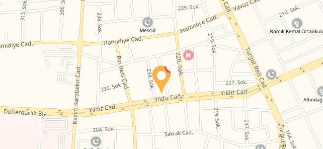 Fatih Cafe & Fast Food, Varlık