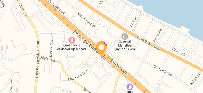 Tarihi Bursa Heykel Kebapcısı, Güzelyalı Siteler