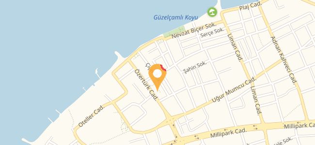 Salon Bar Restoran, Güzelçamlı Atatürk