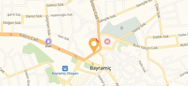 Asya Pastanesi, Camikebir
