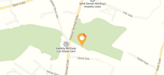Çınaraltı Kafe Restourant, Yalova Merkez Merkez