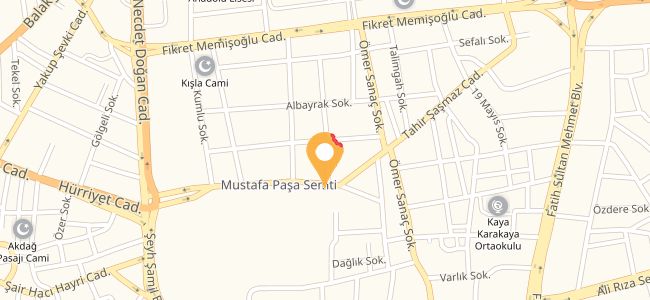 Balkaymak Dondurma, Mustafa Paşa