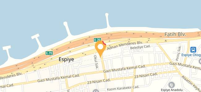 Ehl İ Keyf, Espiye Merkez