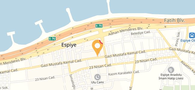 Özdoyum Balık Lokantası, Espiye Merkez