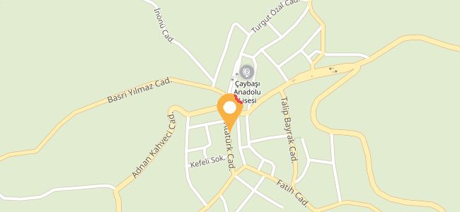 Şen Lokantası, Çınar