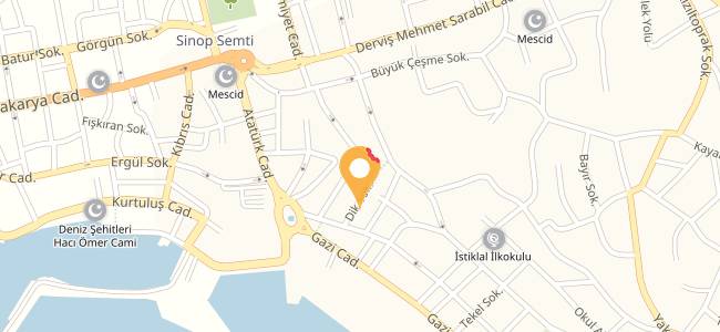 Amazon Kafe, Yeni