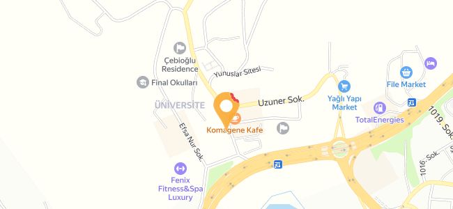 Seyir Cafe, Üniversite