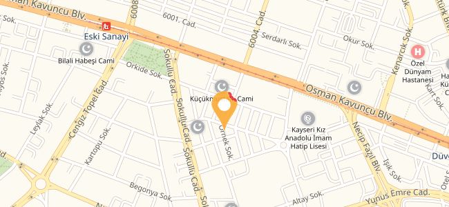 Tarhan Kebap Ve Kadayıf Salonu, Küçük Mustafa