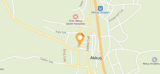 Gıda Ekmek Fırını, Akkuş Merkez