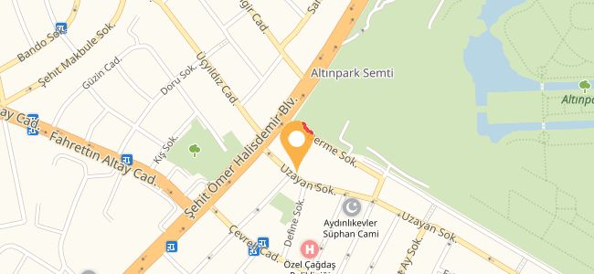 Salon Hocanın Yeri, Altınevler