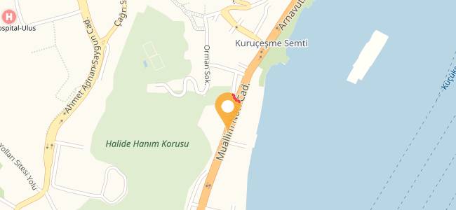 Swiss Restaurant, Kuruçeşme