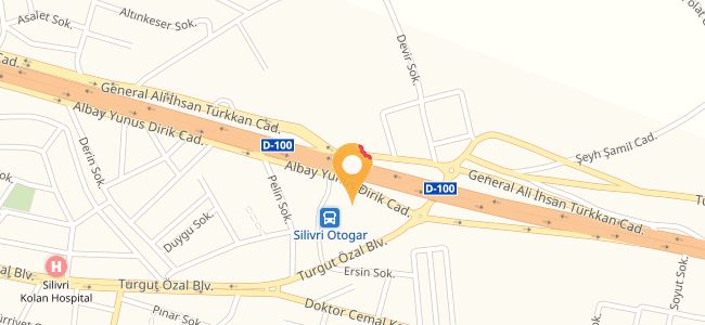 Terminal Çamlık Çay Bahçesi, Yeni