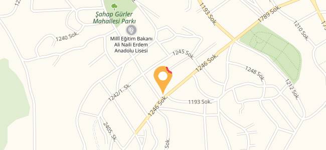 Pınar Pide Kebap Salonu, Şahap Gürler