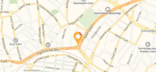 Viking Cafe & Bistro, Kartal Merkez