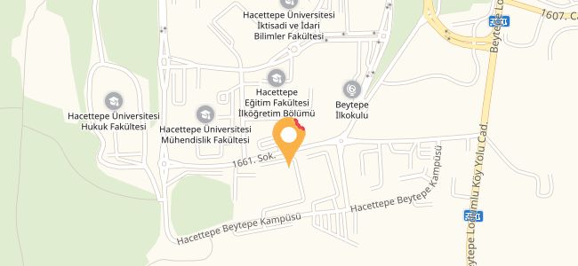 Hacettepe Teknokent History Of Anatolia, Üniversiteler
