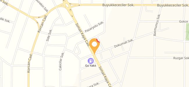 Erdinç Etliekmek, Buhara
