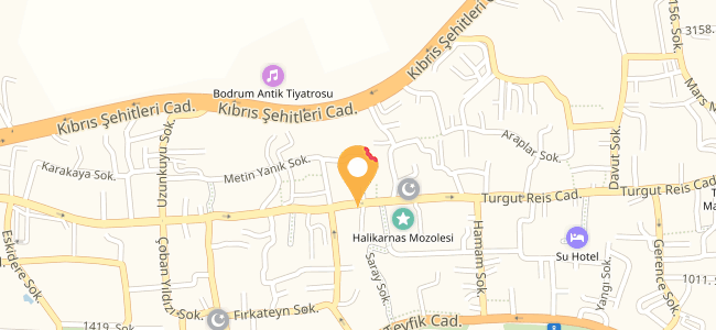 domino s pizza turgutreis
