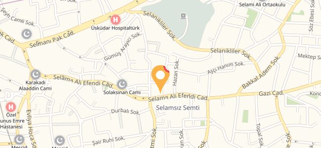 Pınar Sultan Köfteci, Selamiali