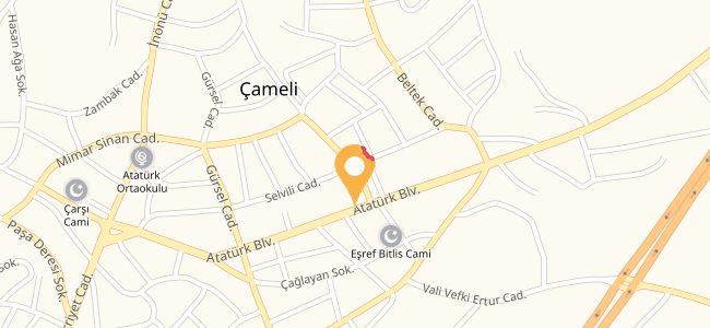 Tadını Çıkar Pide Salonu, Yeni
