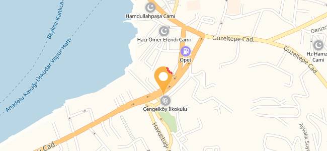 Nessi Yöresel Organik Ürünler, Havuzbaşı