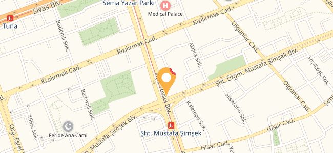 Dinofor Pizza, Melikgazi Merkez