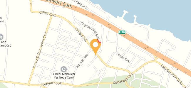 Turuncu Tavuk & Cafe, Söğütlü