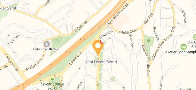 Balık Lounge, Levent