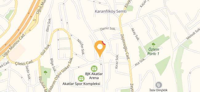 Hacıalioğlu Çiğ Köfte, Akatlar