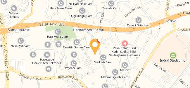 Çınar Saklıbahçe, Hamamönü Merkez