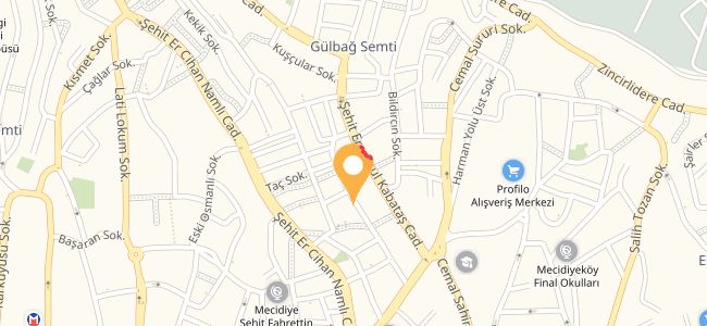 Hatay Antik Kebap, Mecidiyeköy