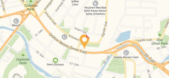 Dalyan Balıkçısı Balık Pişirme Evi, Besim Ömer
