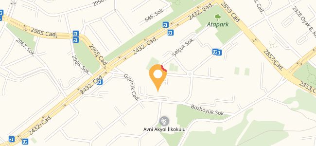Alaturka Pizza, Ahmet Taner Kışlalı
