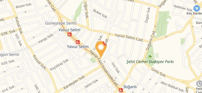 Safran Döner, Güngören