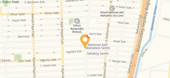 Mimar Sinan Odun Ekmeği, Mehmet Akif