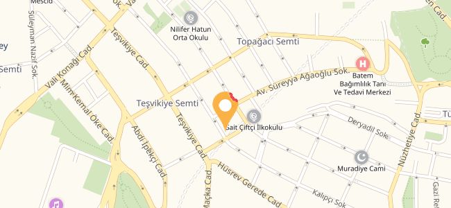İpek Hanım Çiftliği 5 Şef, Vişnezade