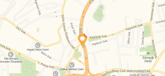 Bolat Balık Evi Ailenizin Balıkçısı, Küçükçekmece Merkez