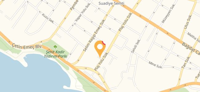 Saltator, Suadiye
