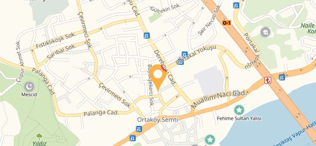Zemheri Ortaköy, Mecidiye