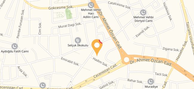 Ecrin Etliekmek Lahmacun Salonu, Mehmet Vehbi
